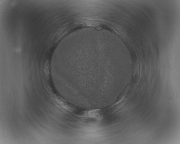 X0000062630078200512281606