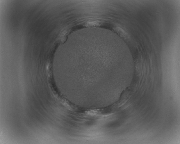 X0000062630079200512281606