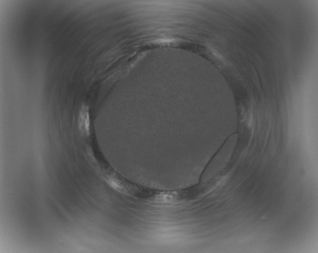 X0000062630080200512281606