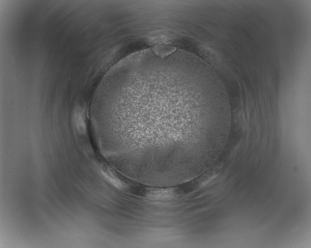 X0000062630081200512281606