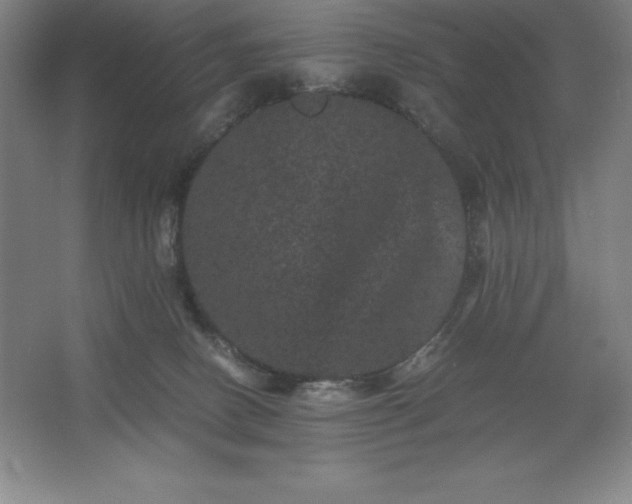 X0000062630082200512281606