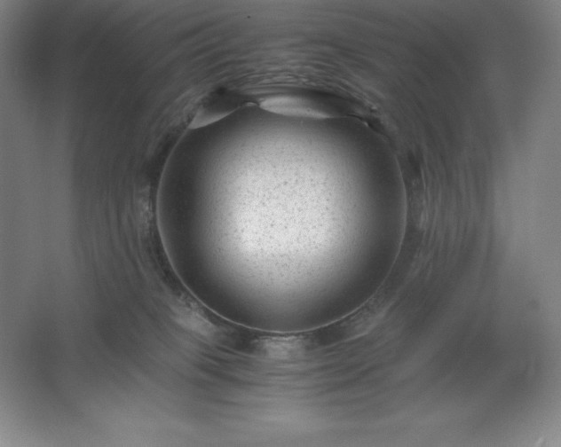 X0000062630085200512281606