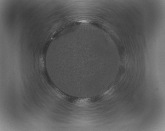 X0000062630086200512281606