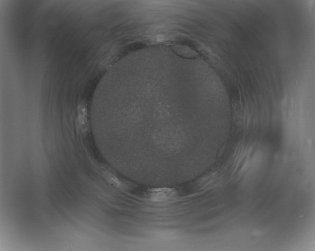 X0000062630087200512281606