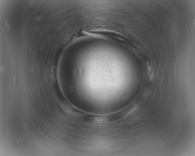 X0000062630088200512281606