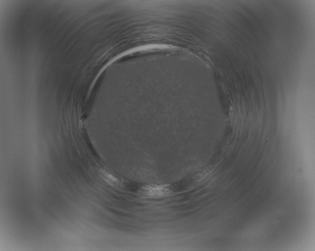 X0000062630093200512281606