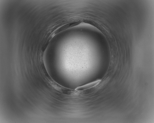 X0000062630096200512281606