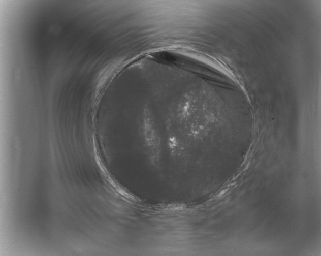 X0000062630097200512281606