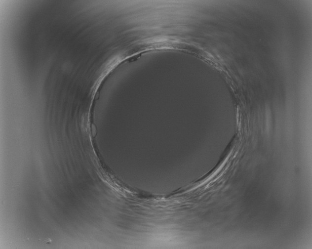 X0000062630099200512281606