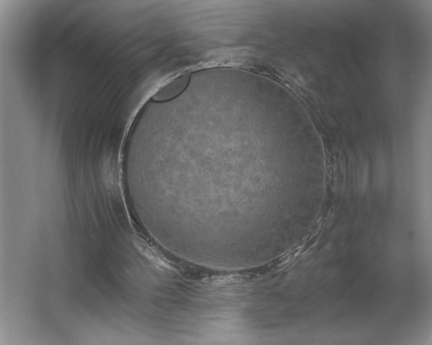 X0000062630100200512281606