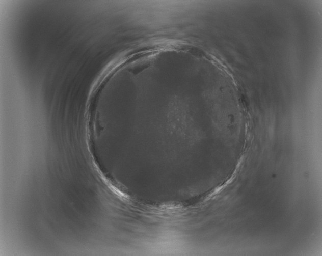 X0000062630101200512281606