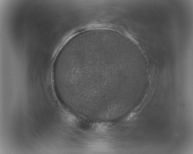 X0000062630103200512281606