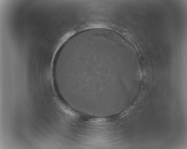 X0000062630104200512281605