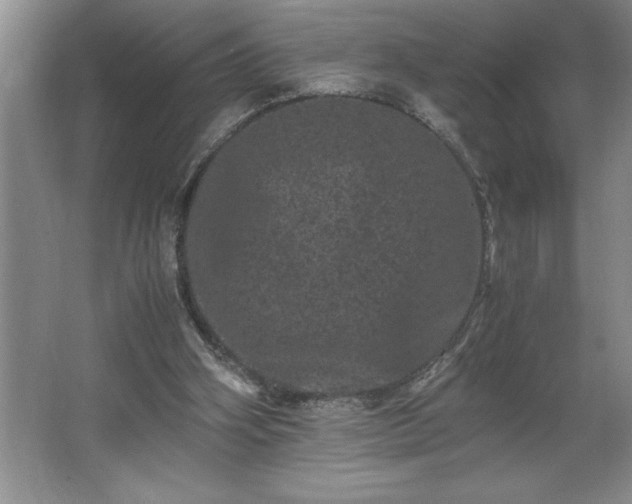 X0000062630106200512281605