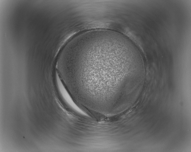 X0000062630107200512281605