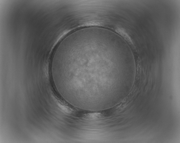 X0000062630108200512281605