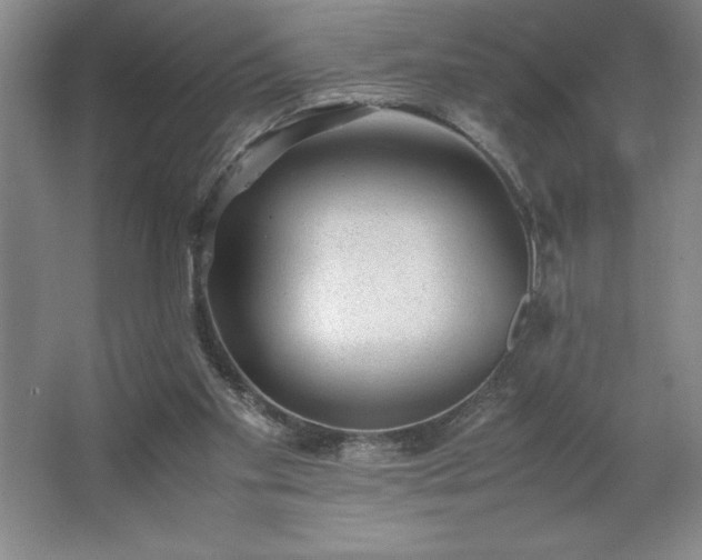 X0000062630109200512281605