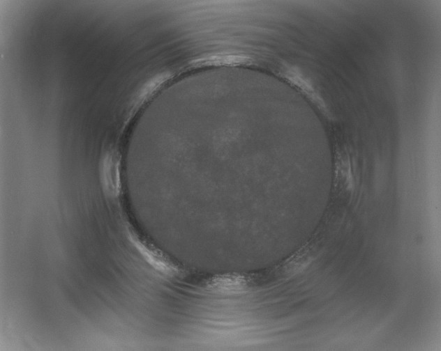 X0000062630110200512281605