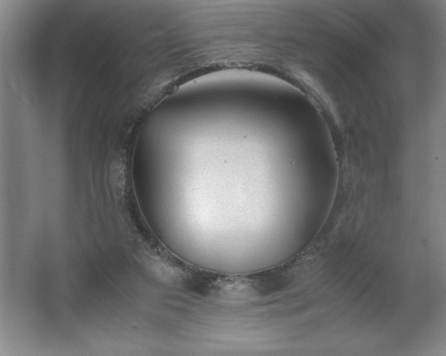 X0000062630113200512281605