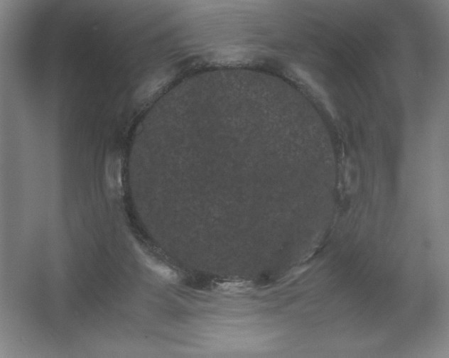 X0000062630115200512281605