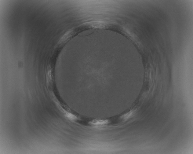 X0000062630117200512281605