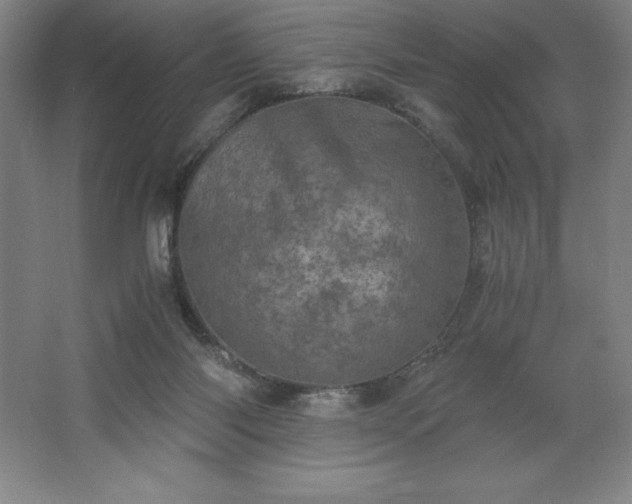 X0000062630118200512281605