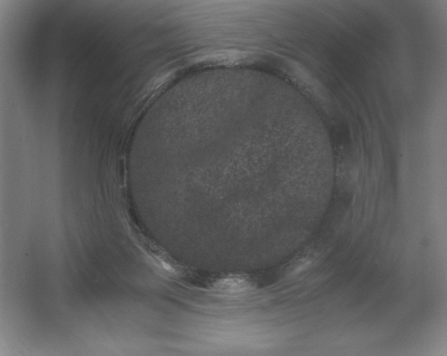 X0000062630119200512281605