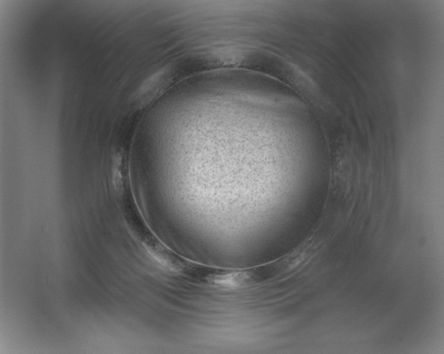 X0000062630122200512281605