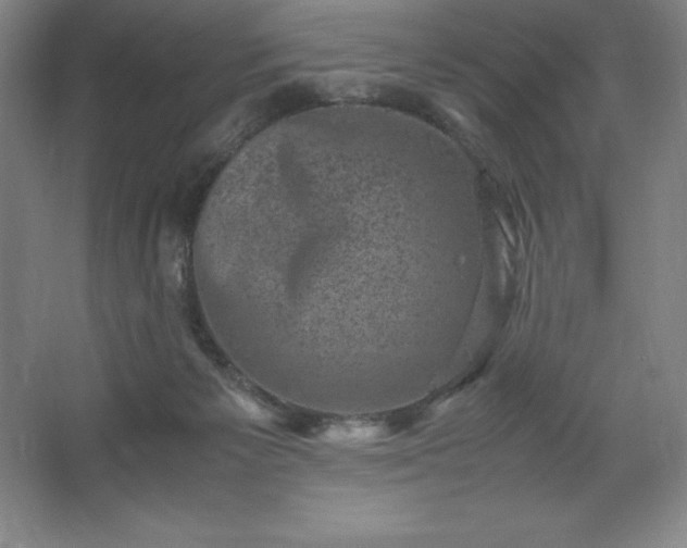 X0000062630125200512281605