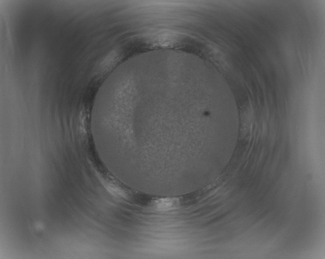 X0000062630126200512281605