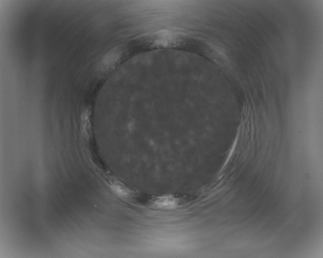 X0000062630127200512281605