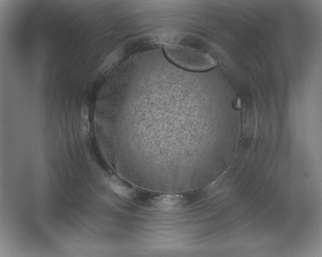 X0000062630128200512281605