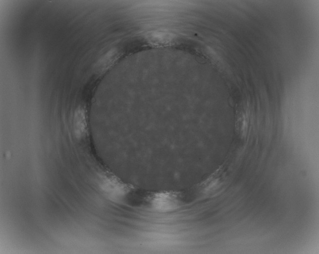 X0000062630130200512281605