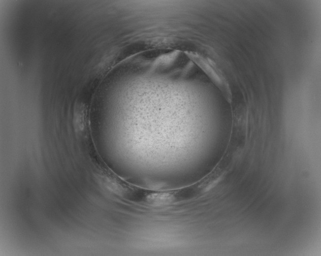 X0000062630133200512281605