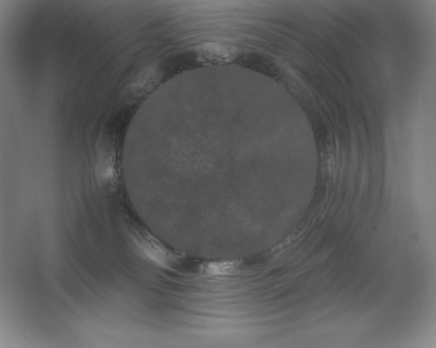 X0000062630134200512281605