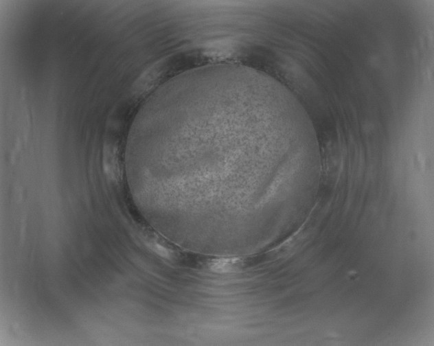 X0000062630136200512281605