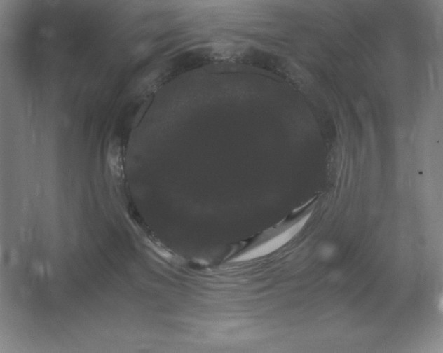 X0000062630137200512281605