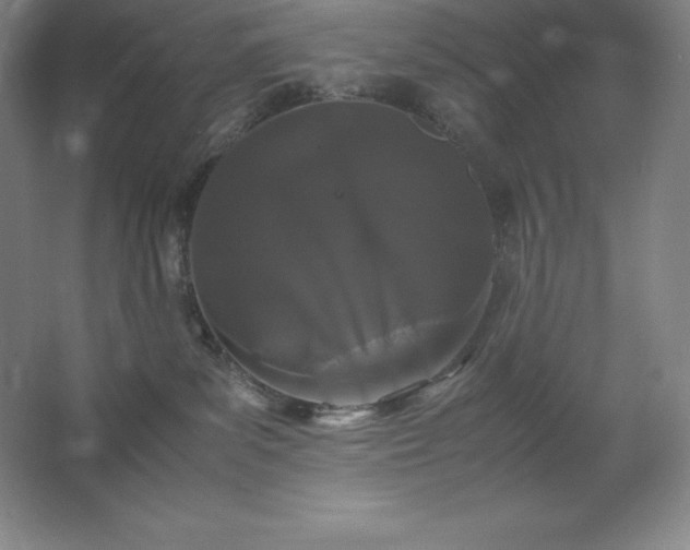 X0000062630139200512281605