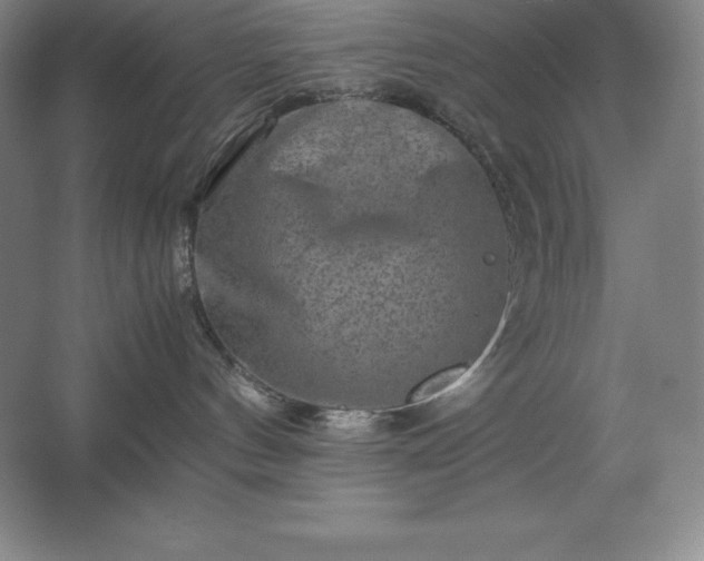 X0000062630144200512281605