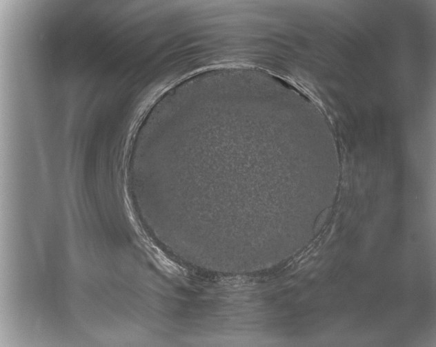 X0000062630145200512281604