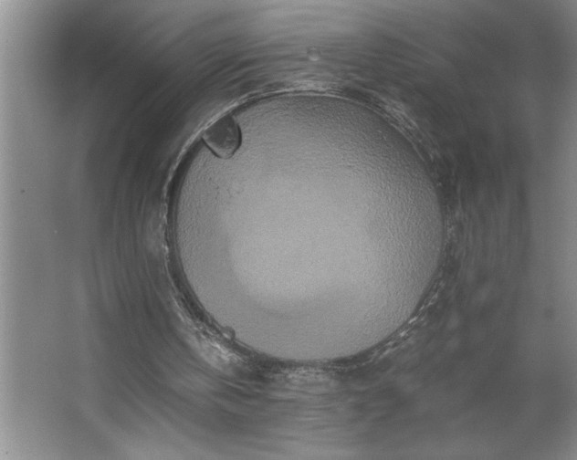 X0000062630146200512281604