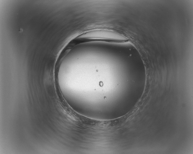 X0000062630148200512281604