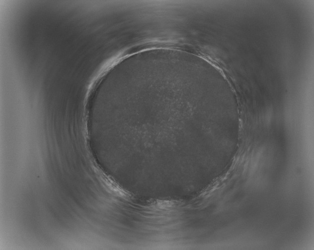 X0000062630149200512281604