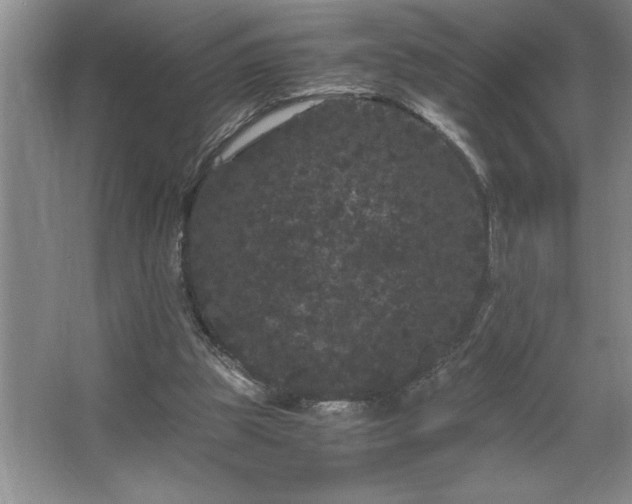 X0000062630153200512281604