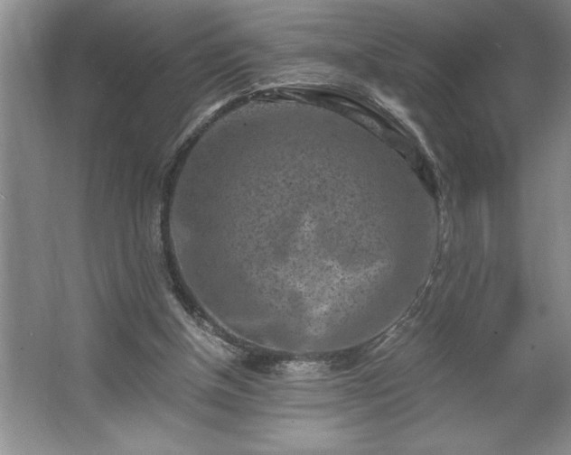 X0000062630154200512281604