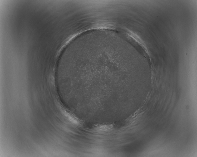 X0000062630155200512281604