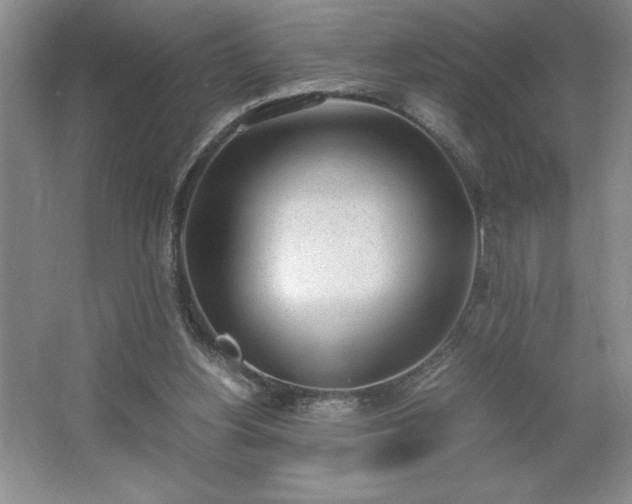 X0000062630156200512281604