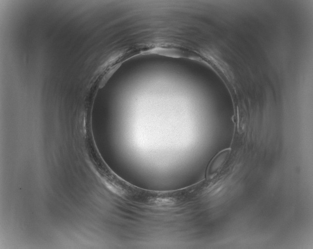 X0000062630157200512281604