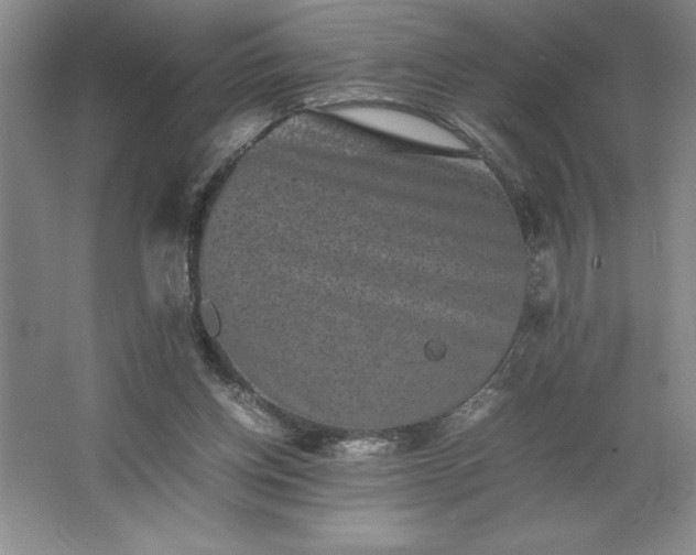 X0000062630158200512281604