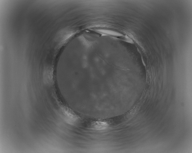 X0000062630159200512281604